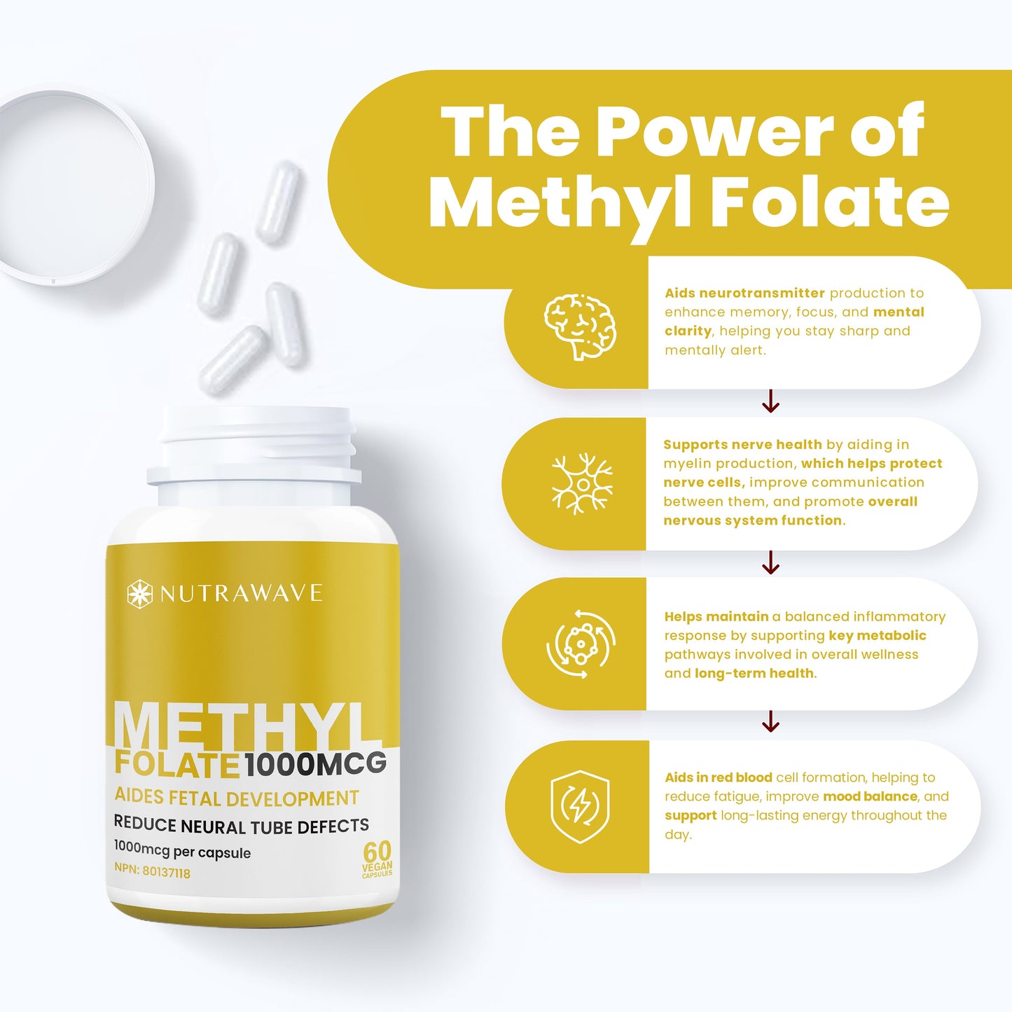 
                  
                    Methyl Folate (5-MTHF) Capsules - 1000mcg
                  
                