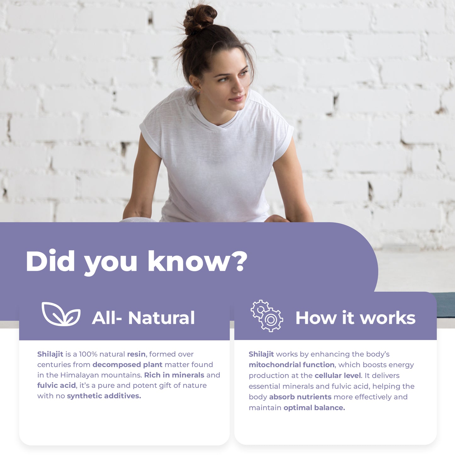 
                  
                    Shilajit Capsules - 500mg
                  
                