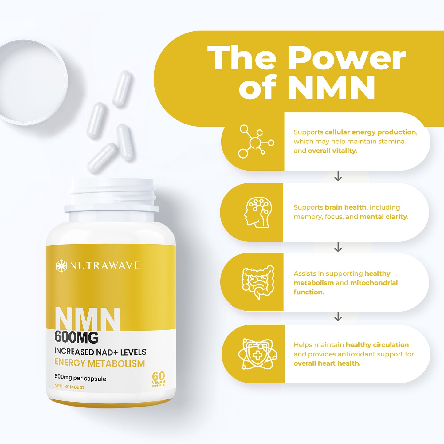 
                  
                    NMN Capsules - 600mg
                  
                