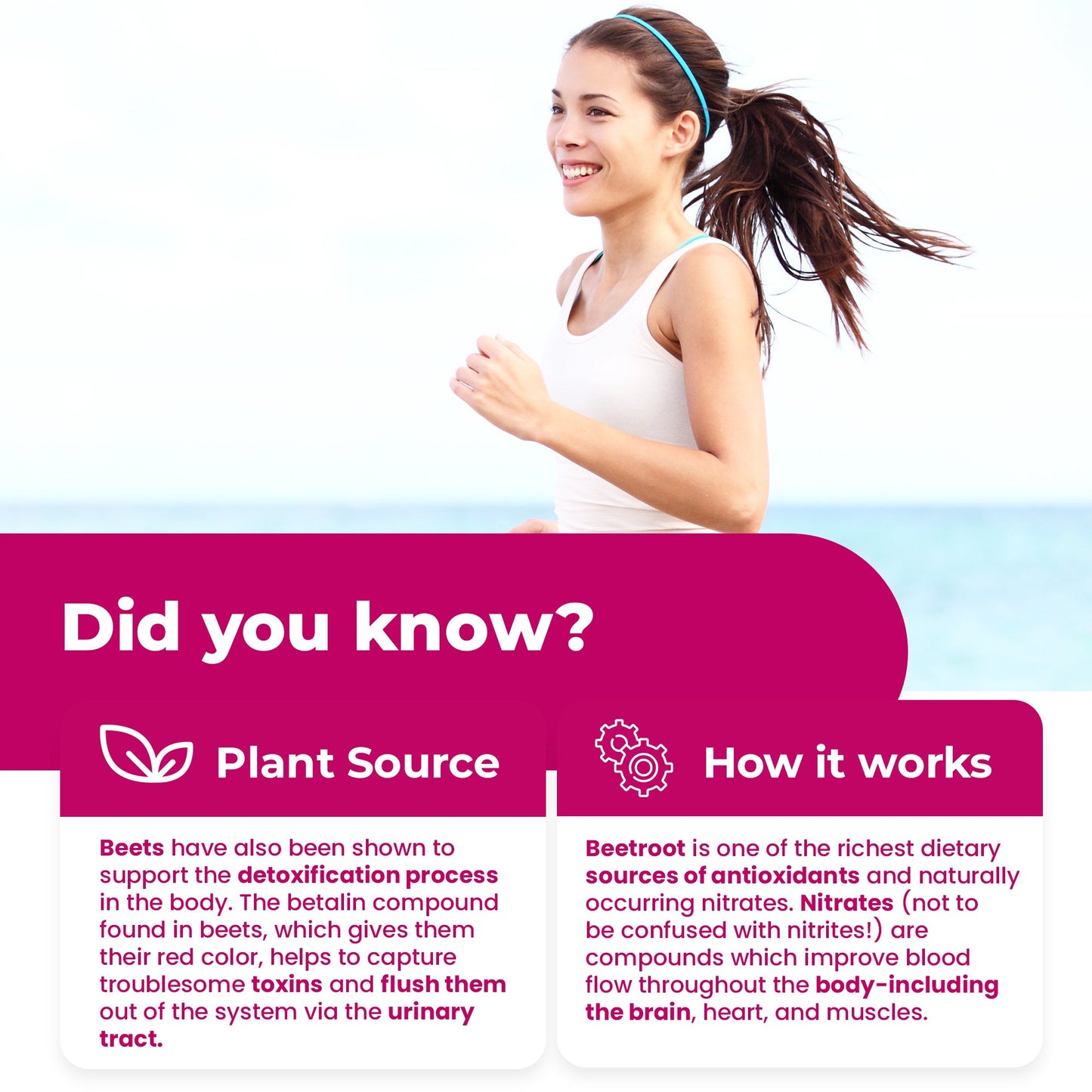 
                  
                    Organic Beetroot Capsules - 1400mg
                  
                