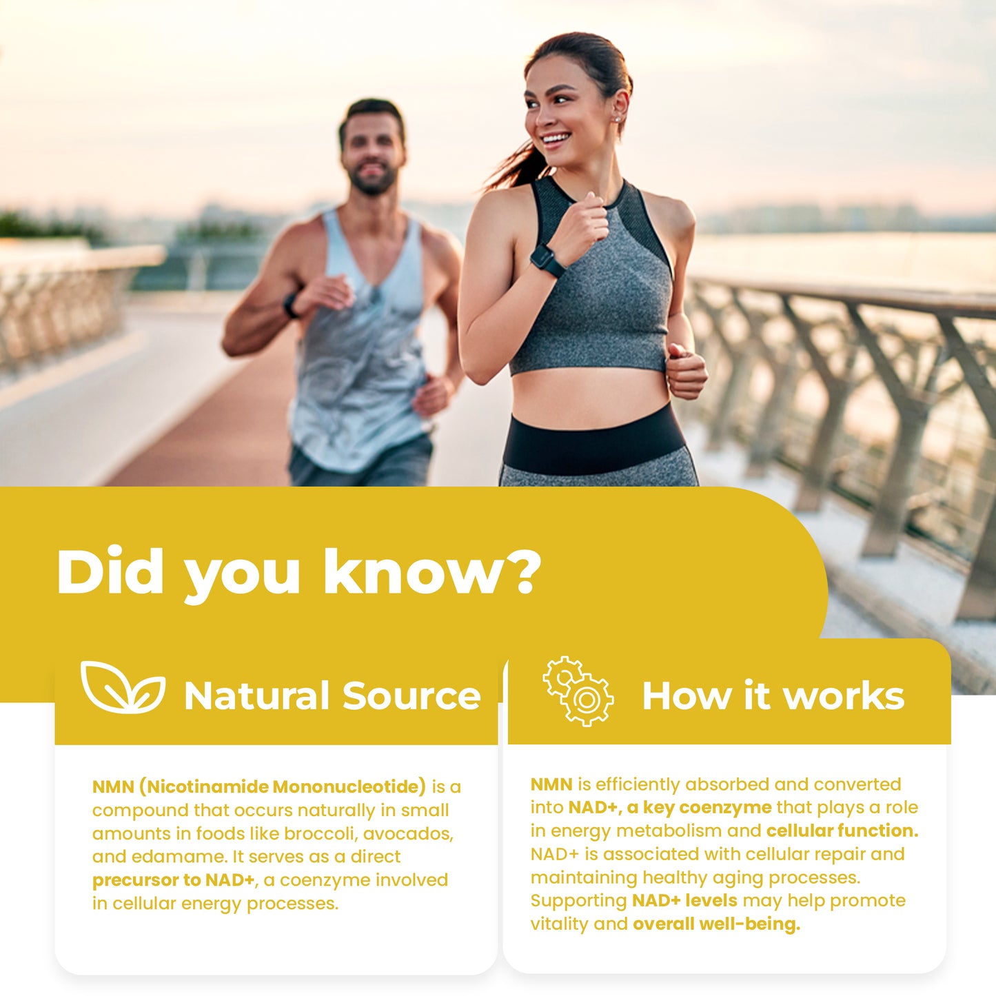 
                  
                    NMN Capsules - 600mg
                  
                