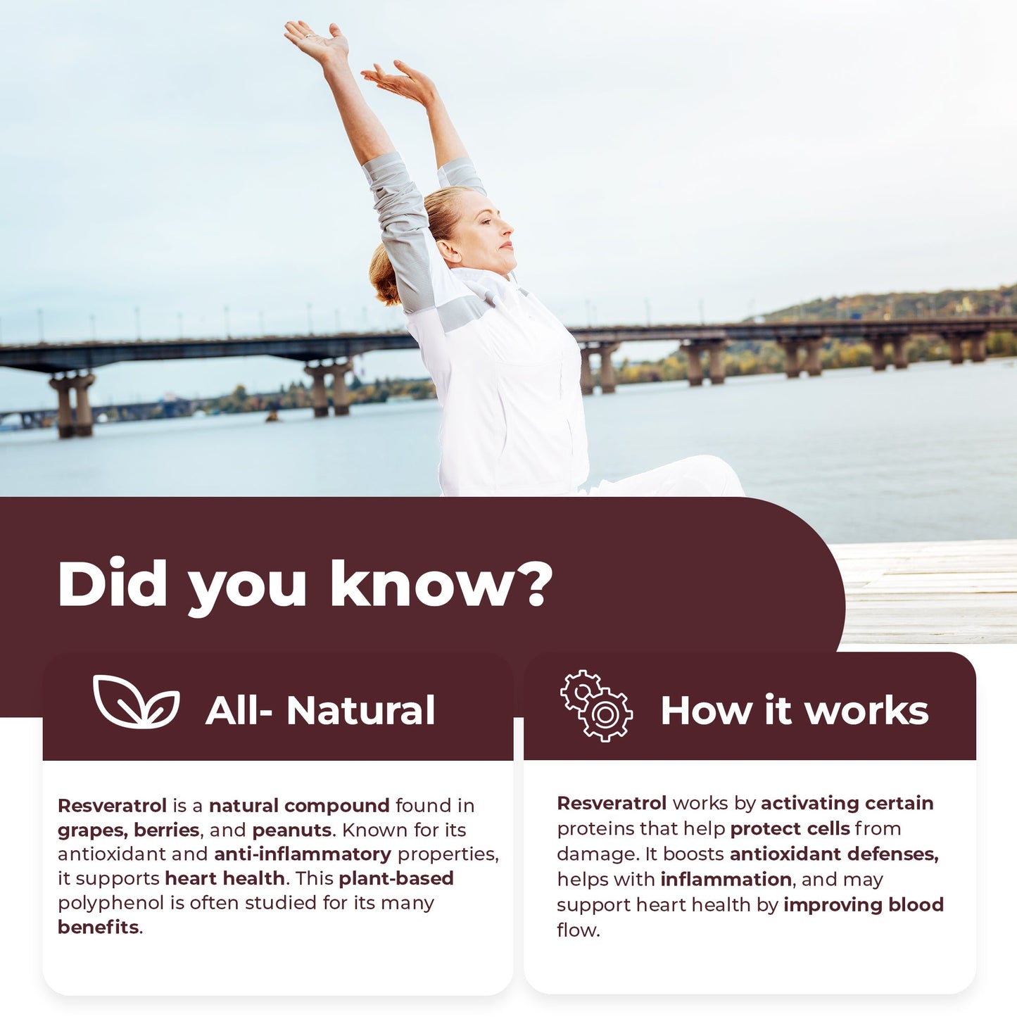 
                  
                    Resveratrol Capsules - 700mg
                  
                