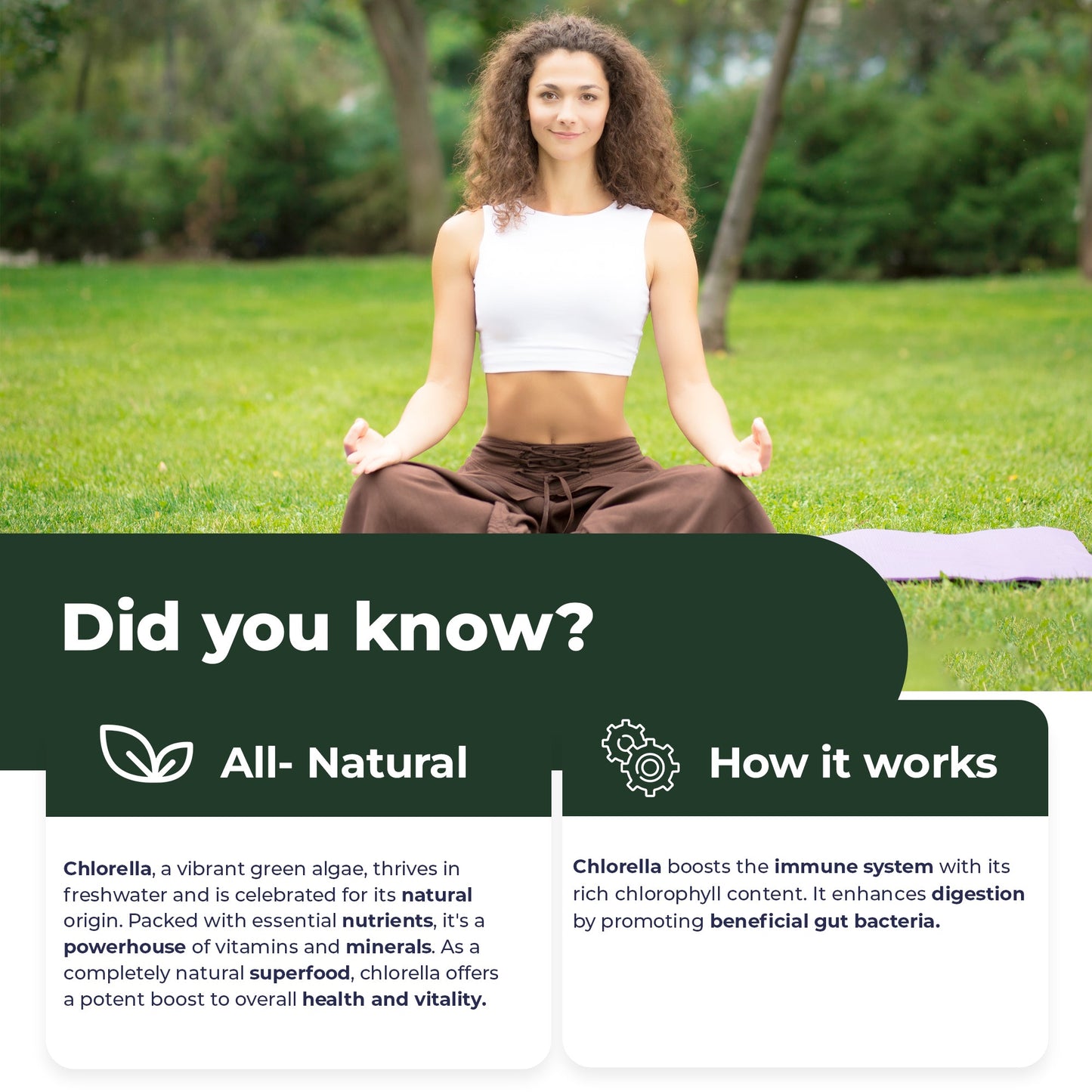 
                  
                    Organic Chlorella Tablets - 1000mg
                  
                