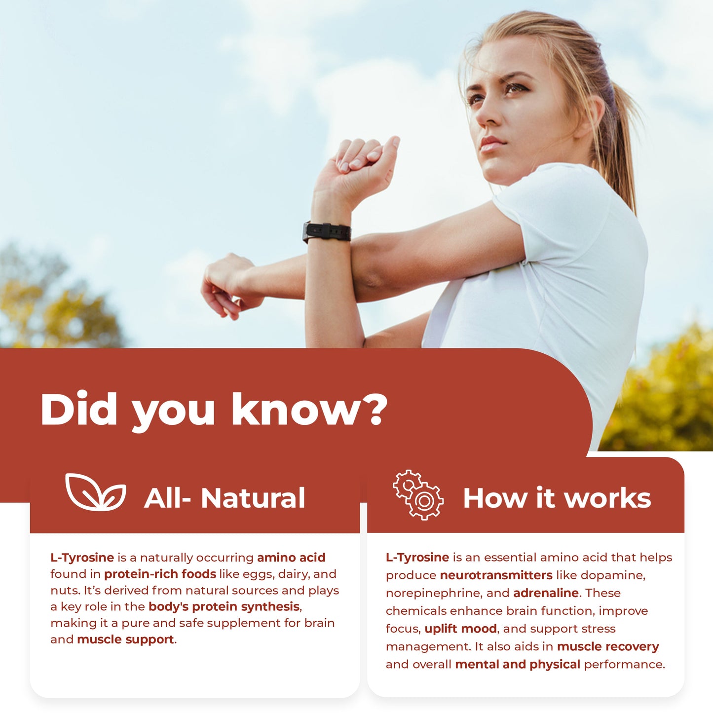 
                  
                    L-Tyrosine Capsules - 600mg
                  
                