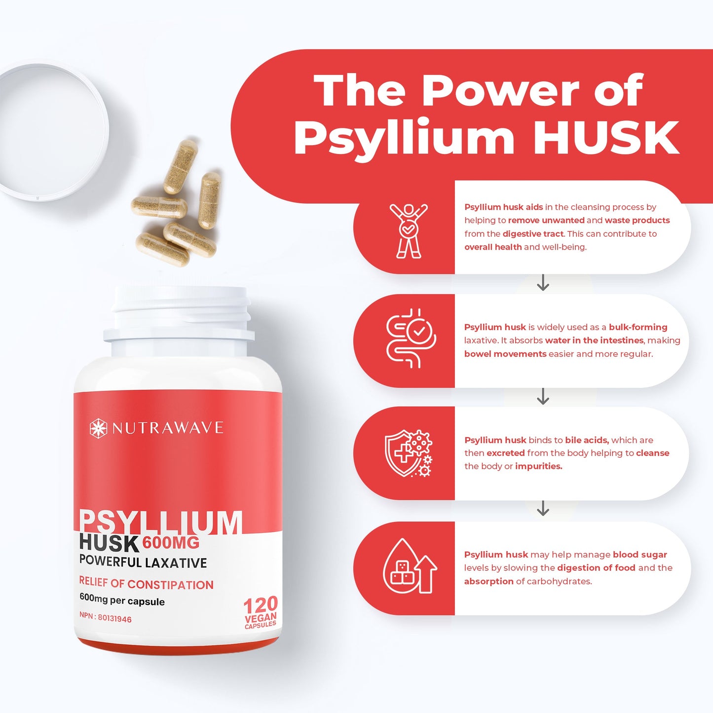 
                  
                    Psyllium Husk Fiber Capsules - 600mg
                  
                