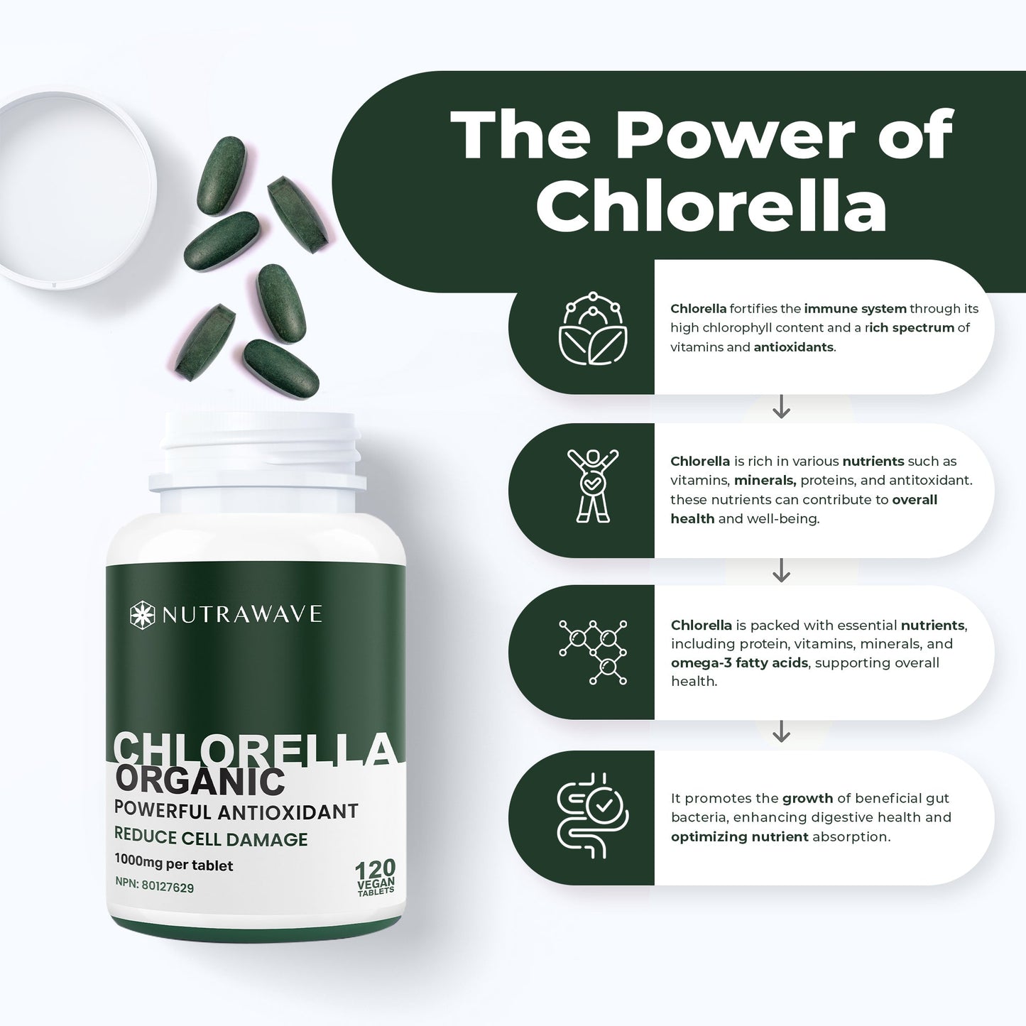 
                  
                    Organic Chlorella Tablets - 1000mg
                  
                