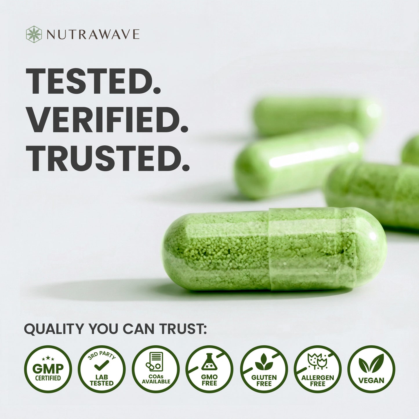 
                  
                    Organic Moringa Leaf Capsules - 1200mg
                  
                