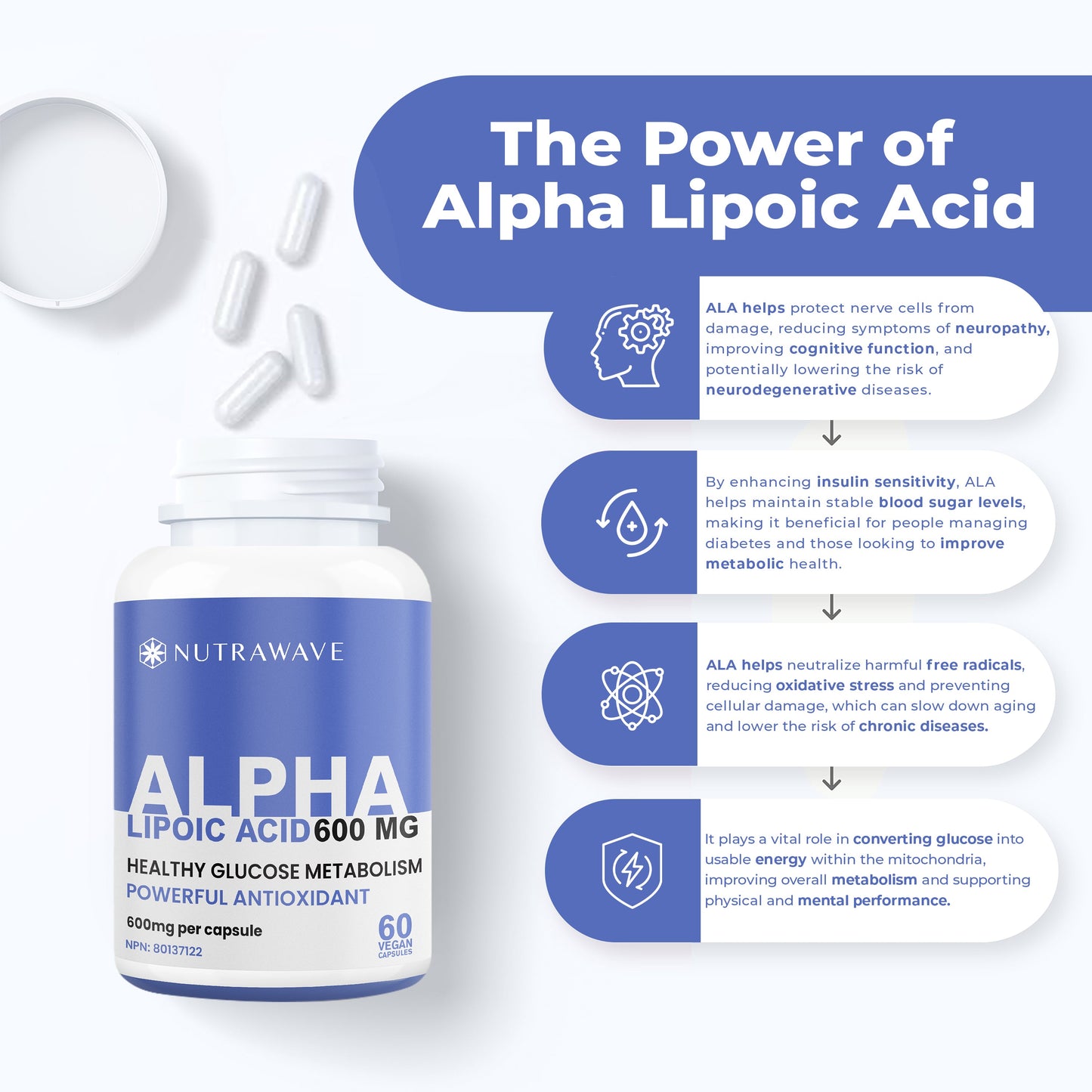 
                  
                    Alpha Lipoic Acid (ALA) Capsules -  600mg
                  
                