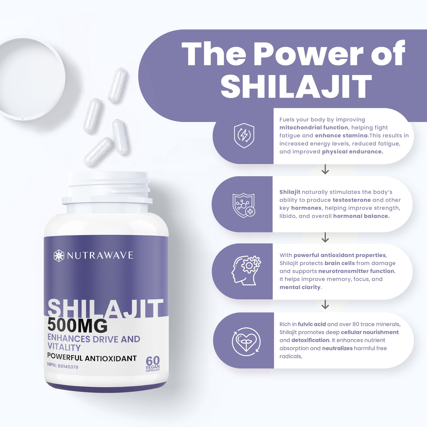
                  
                    Shilajit Capsules - 500mg
                  
                