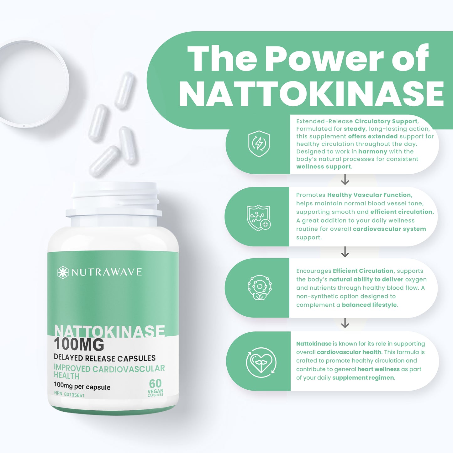 
                  
                    Nattokinase Capsules - 100mg
                  
                