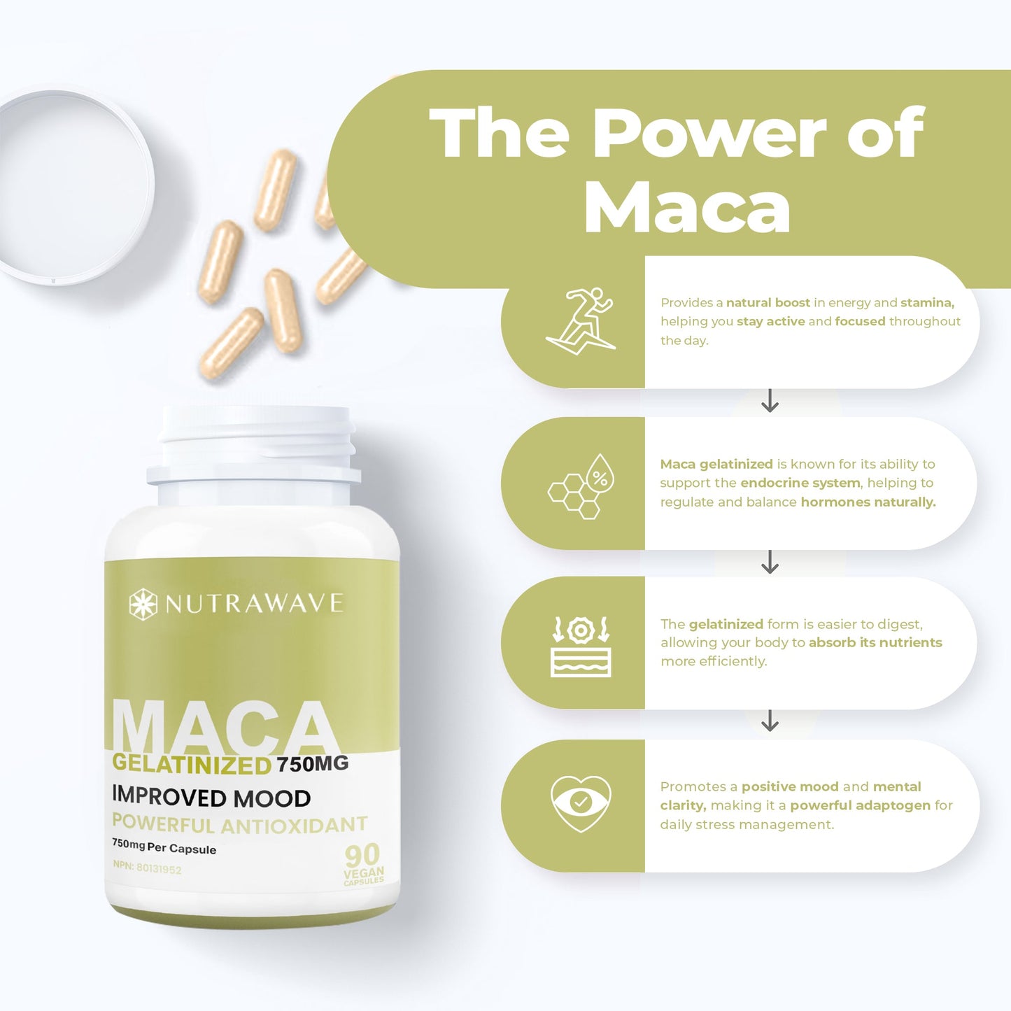 
                  
                    Gelatinized Maca Capsules - 750mg
                  
                