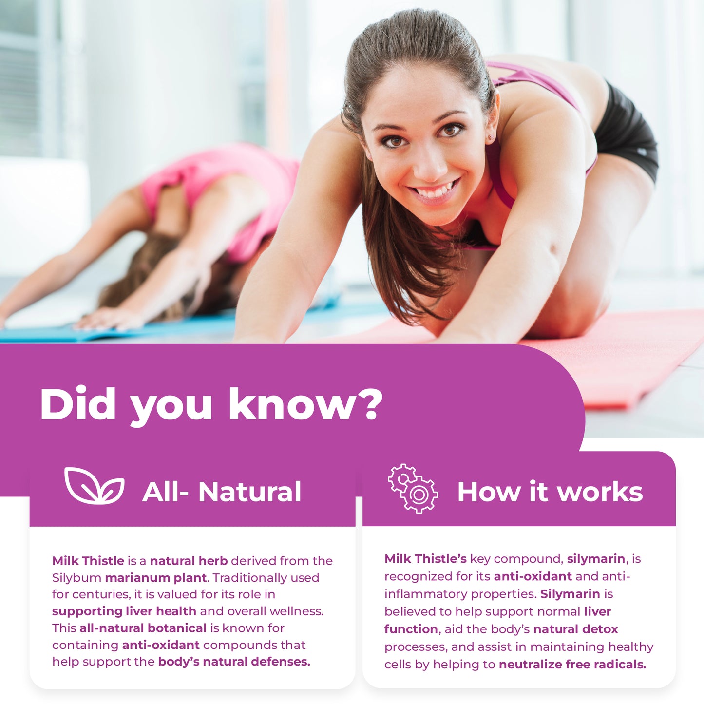 
                  
                    Milk Thistle Liquid Extract - 2200mg
                  
                