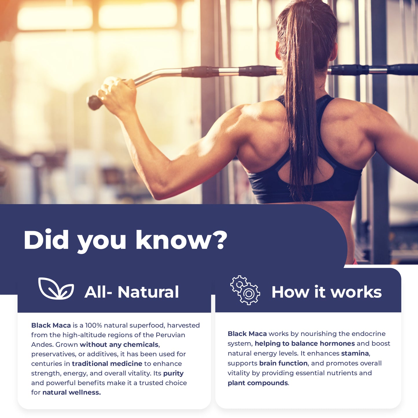 
                  
                    Black Maca Capsules - 750mg
                  
                